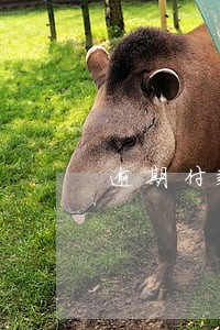 逾期付款日息万分之五 逾期付款日息万分之五
