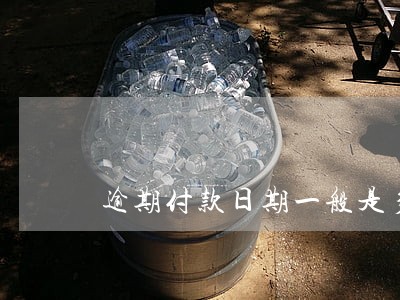 逾期付款日期一般是多少天 逾期付款日期一般是多少天