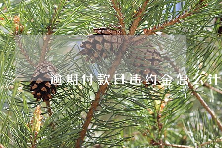 逾期付款日违约金怎么计算 逾期付款日违约金怎么计算