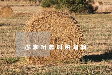 逾期付款时的复利 逾期付款时的复利