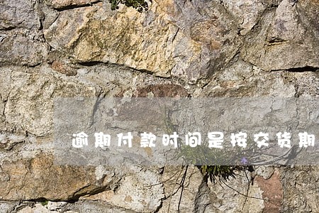 逾期付款时间是按交货期时间 逾期付款时间是按交货期时间