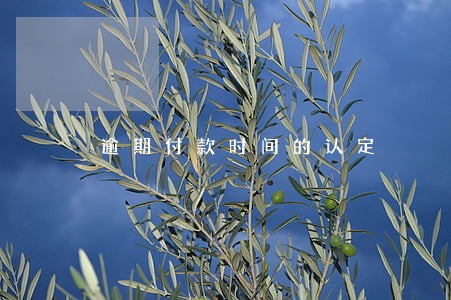 逾期付款时间的认定 逾期付款时间的认定