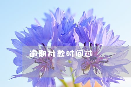逾期付款时间过 逾期付款时间过