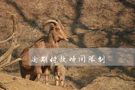 逾期付款时间限制 逾期付款时间限制