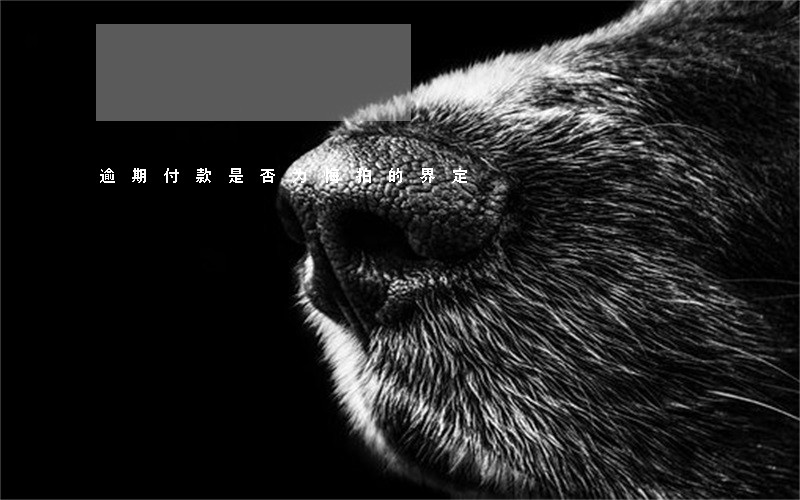 逾期付款是否为悔拍的界定 逾期付款是否为悔拍的界定