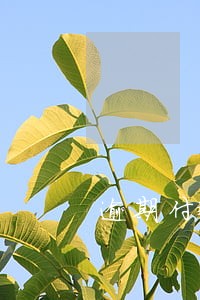逾期付款是否是法律事实 逾期付款是否是法律事实