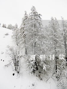 逾期付款是本金还是利息 逾期付款是本金还是利息