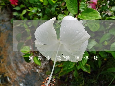 逾期付款暂停供货 逾期付款暂停供货