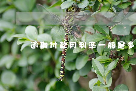 逾期付款月利率一般是多少钱 逾期付款月利率一般是多少钱