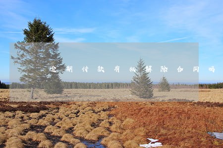 逾期付款有权解除合同吗 逾期付款有权解除合同吗