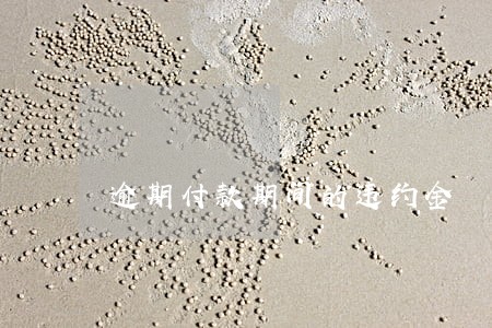 逾期付款期间的违约金 逾期付款期间的违约金