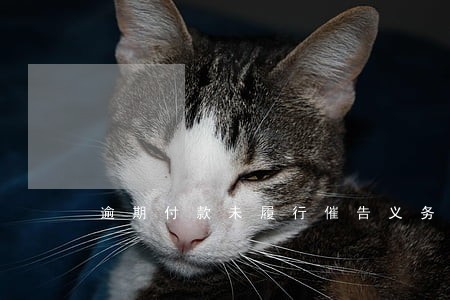 逾期付款未履行催告义务 逾期付款未履行催告义务