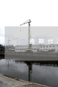 逾期付款未约定利息 逾期付款未约定利息
