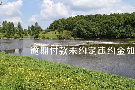 逾期付款未约定违约金如何处理 逾期付款未约定违约金如何处理