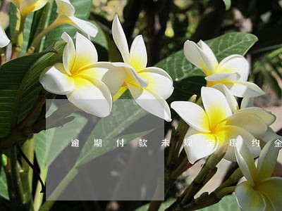 逾期付款未规定违约金 逾期付款未规定违约金