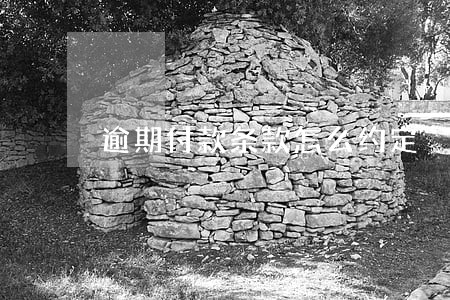 逾期付款条款怎么约定 逾期付款条款怎么约定