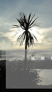 逾期付款格式 逾期付款格式