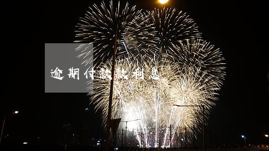 逾期付款款利息 逾期付款款利息