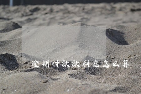 逾期付款款利息怎么算 逾期付款款利息怎么算