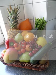 逾期付款每天万分之五 逾期付款每天万分之五