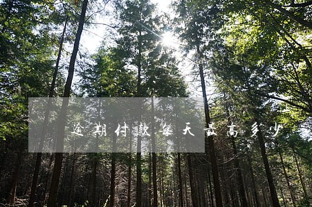 逾期付款每天最高多少 逾期付款每天最高多少