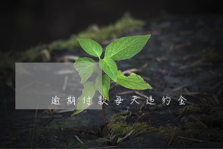 逾期付款每天违约金 逾期付款每天违约金