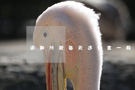 逾期付款每天违约金一般多少 逾期付款每天违约金一般多少