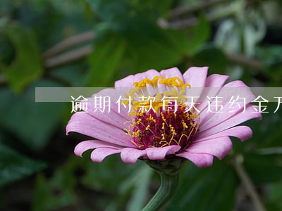 逾期付款每天违约金万分之五 逾期付款每天违约金万分之五