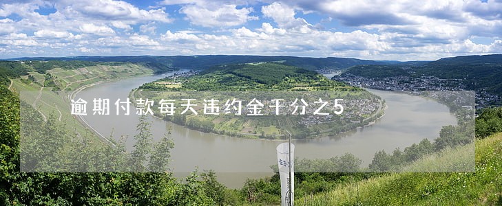 逾期付款每天违约金千分之5 逾期付款每天违约金千分之5