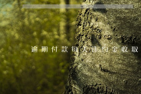逾期付款每天违约金收取