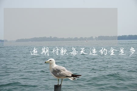 逾期付款每天违约金是多少 逾期付款每天违约金是多少