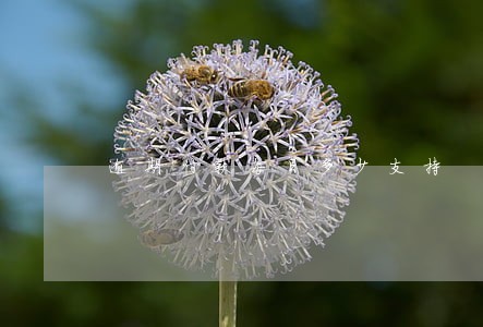 逾期付款每日多少支持 逾期付款每日多少支持