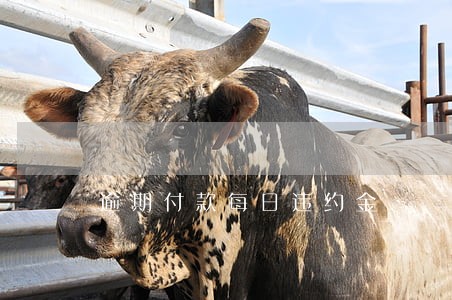 逾期付款每日违约金 逾期付款每日违约金