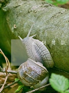 逾期付款每日违约金最高多少 逾期付款每日违约金最高多少