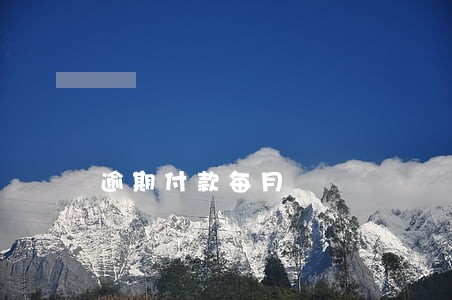 逾期付款每月 逾期付款每月