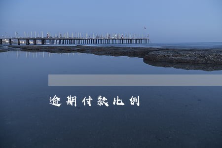 逾期付款比例 逾期付款比例