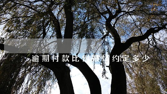 逾期付款比例最好约定多少 逾期付款比例最好约定多少