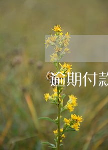 逾期付款没收拍卖保证金 逾期付款没收拍卖保证金