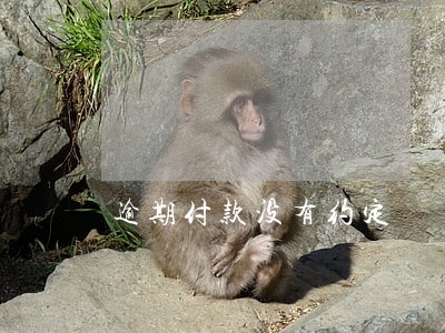 逾期付款没有约定 逾期付款没有约定