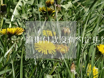 逾期付款没有约定违约责任 逾期付款没有约定违约责任
