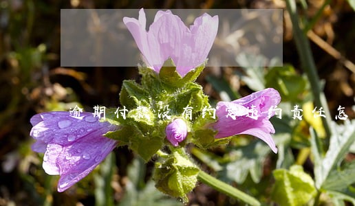 逾期付款没有约定违约责任怎么 逾期付款没有约定违约责任怎么