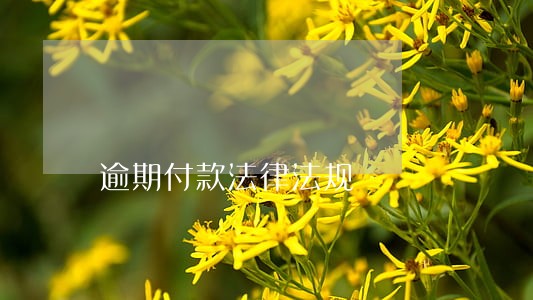 逾期付款法律法规 逾期付款法律法规