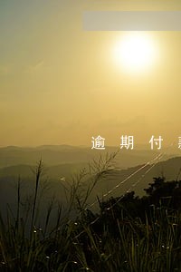 逾期付款法律行动 逾期付款法律行动