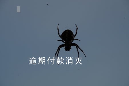 逾期付款消灭 逾期付款消灭