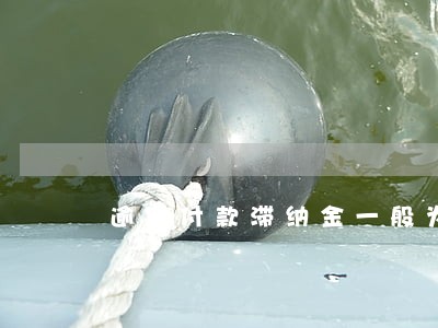 逾期付款滞纳金一般为多少 逾期付款滞纳金一般为多少
