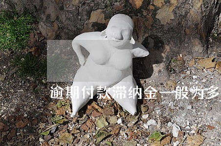 逾期付款滞纳金一般为多少钱 逾期付款滞纳金一般为多少钱