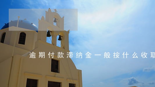逾期付款滞纳金一般按什么收取 逾期付款滞纳金一般按什么收取