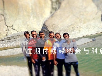 逾期付款滞纳金与利息 逾期付款滞纳金与利息