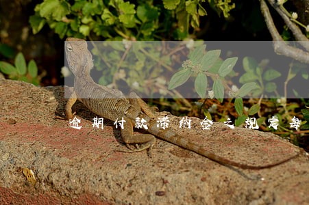 逾期付款滞纳金之规定每日 逾期付款滞纳金之规定每日