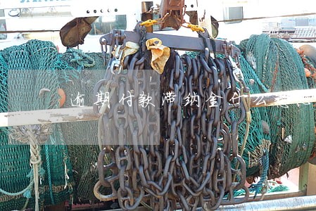 逾期付款滞纳金什么意思 逾期付款滞纳金什么意思